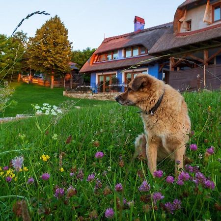 Casele Cu Stuf B&B Haus Ulrike Salicea Luaran gambar