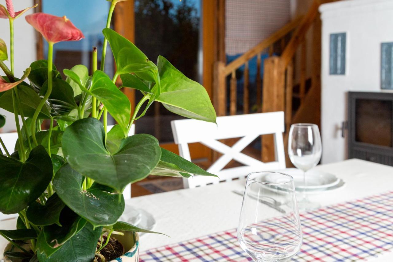 Casele Cu Stuf B&B Haus Ulrike Salicea Luaran gambar