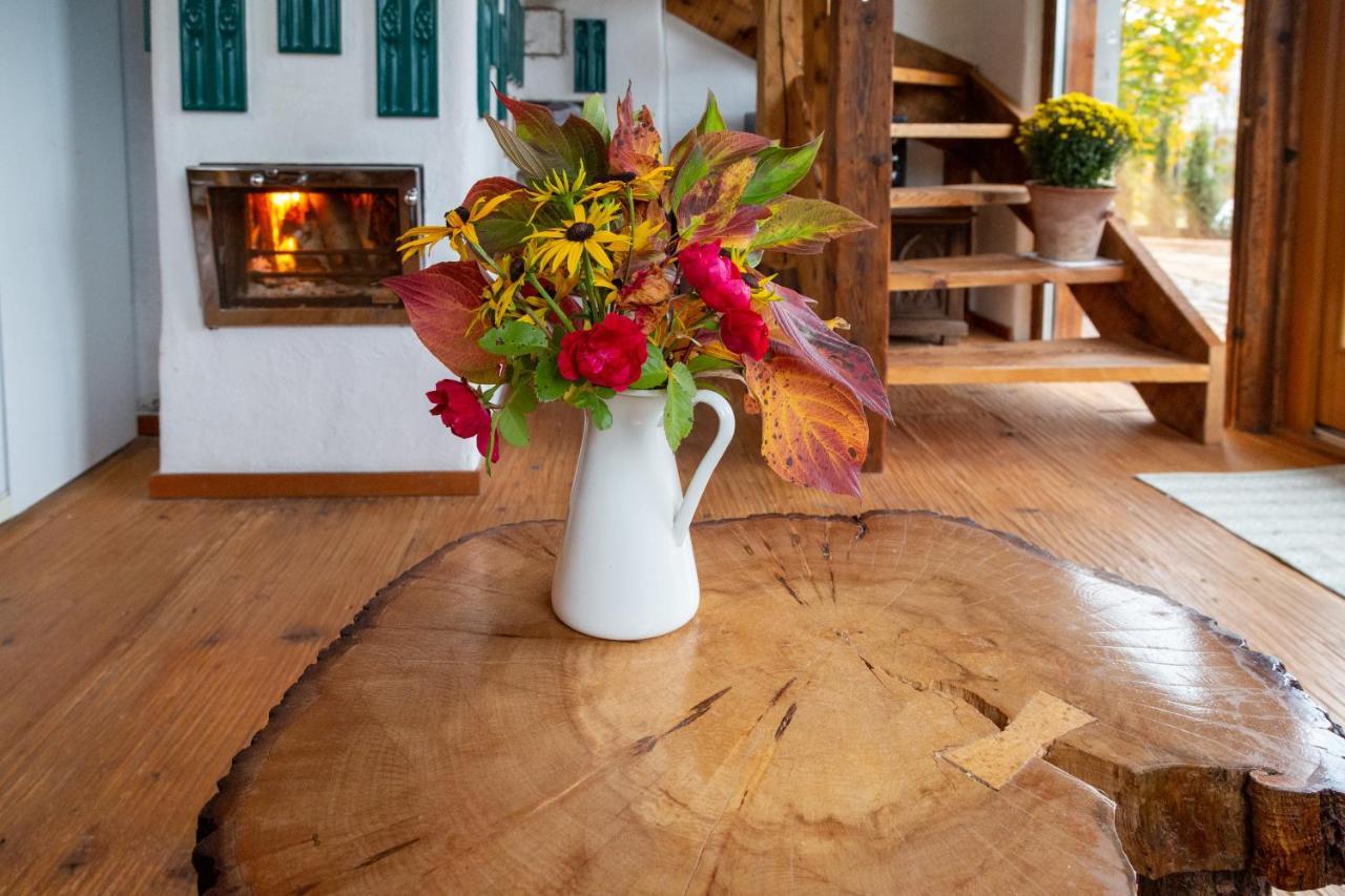 Casele Cu Stuf B&B Haus Ulrike Salicea Luaran gambar