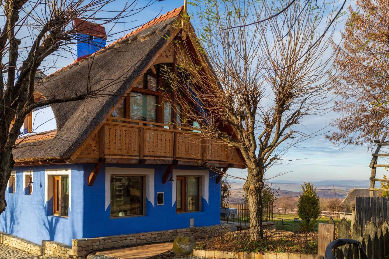Casele Cu Stuf B&B Haus Ulrike Salicea Luaran gambar