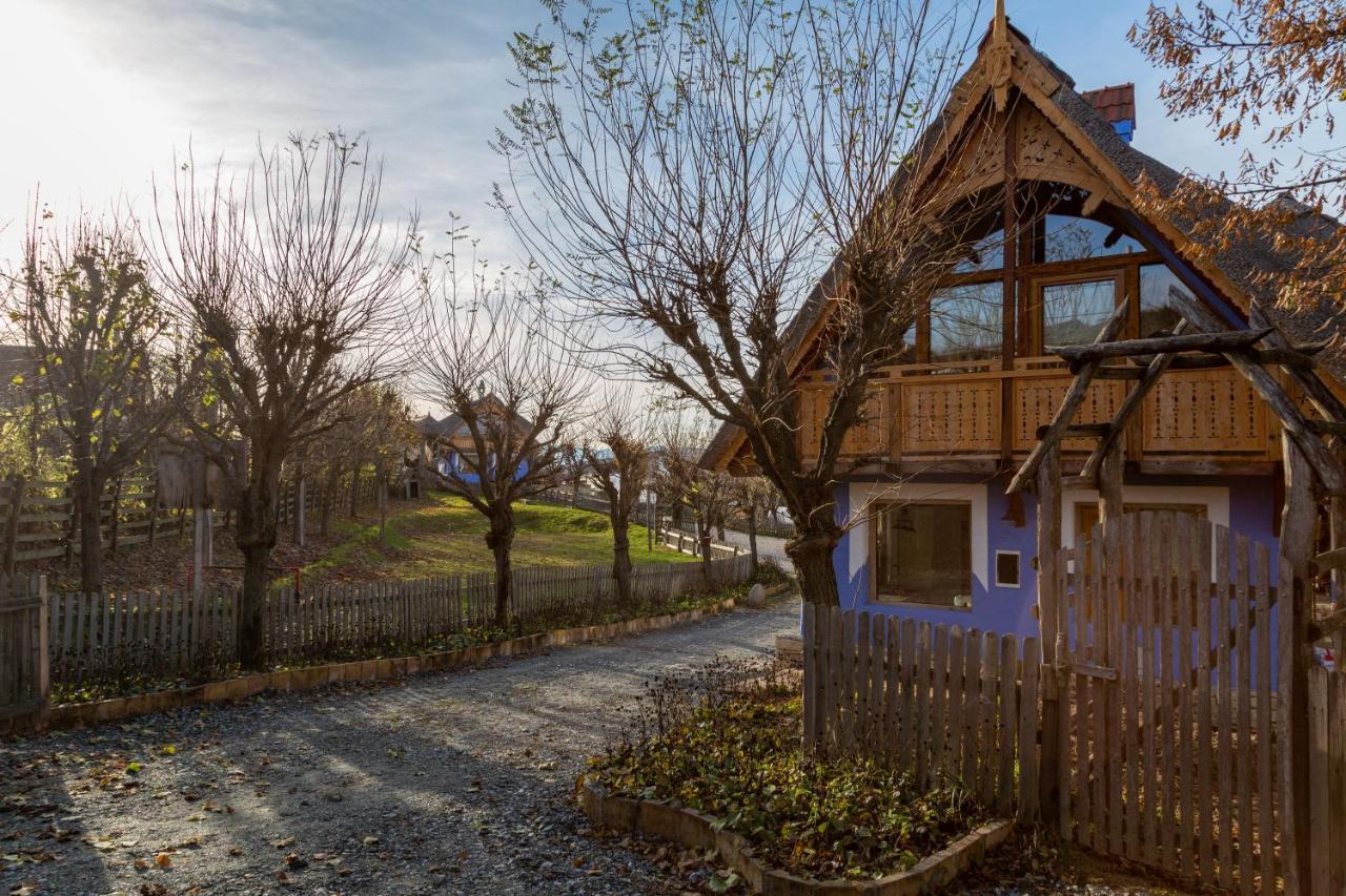 Casele Cu Stuf B&B Haus Ulrike Salicea Luaran gambar
