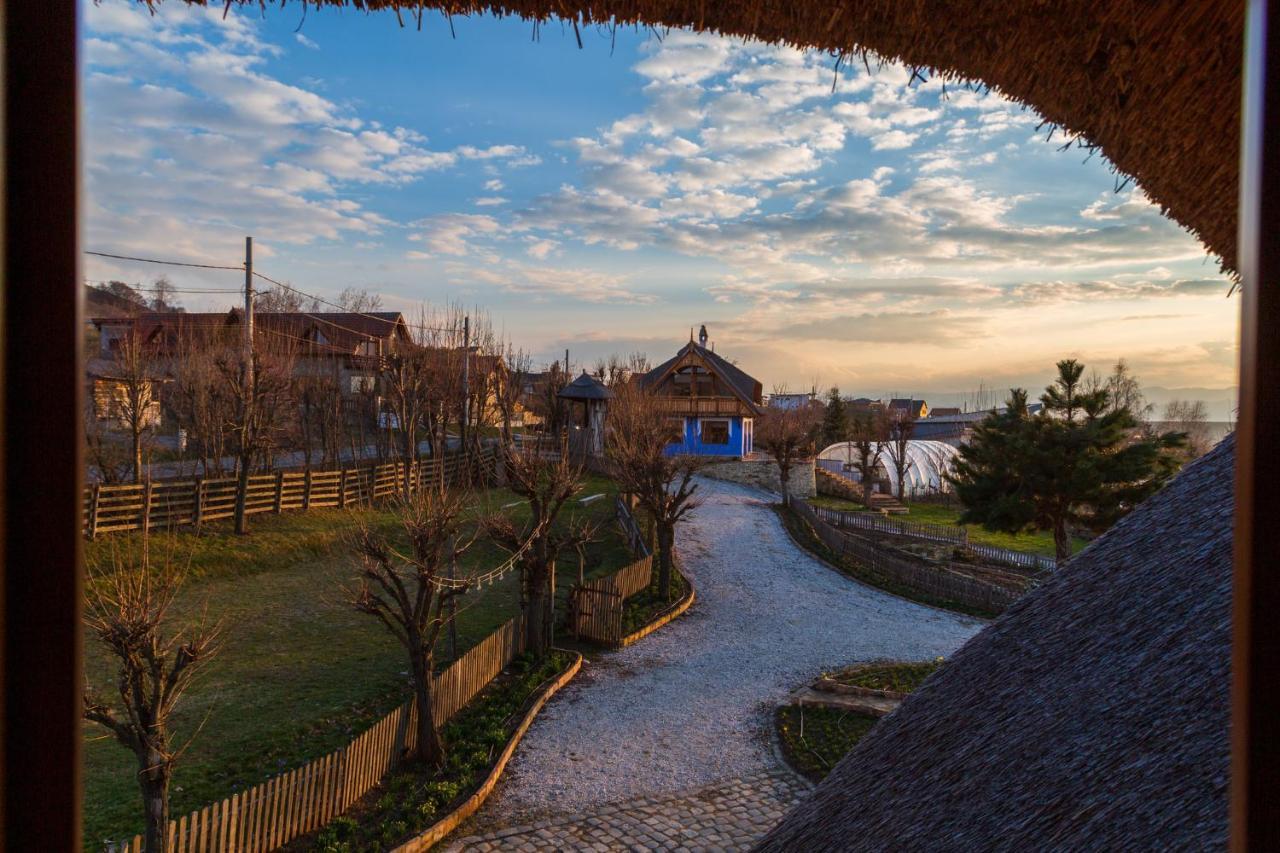 Casele Cu Stuf B&B Haus Ulrike Salicea Luaran gambar