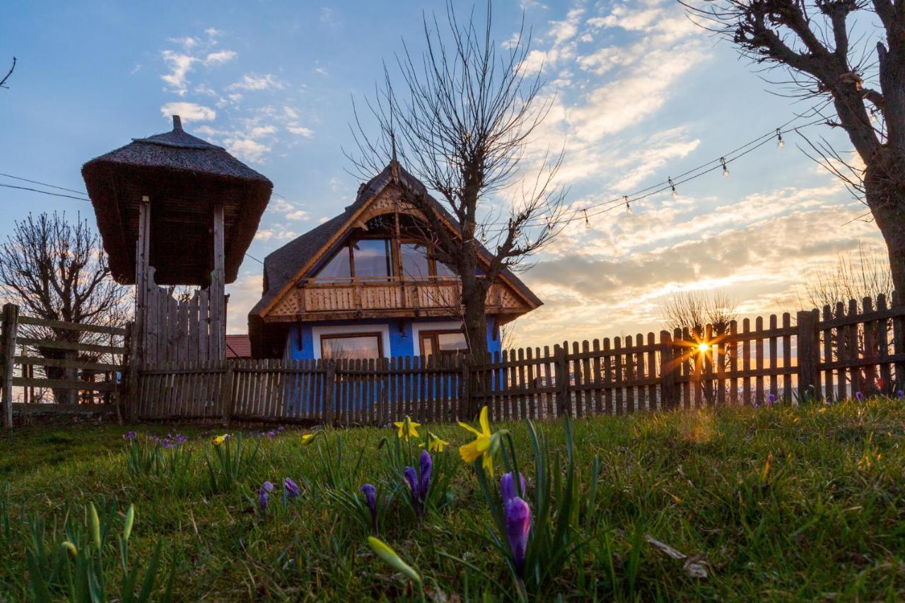 Casele Cu Stuf B&B Haus Ulrike Salicea Luaran gambar