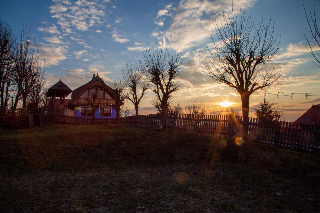 Casele Cu Stuf B&B Haus Ulrike Salicea Luaran gambar