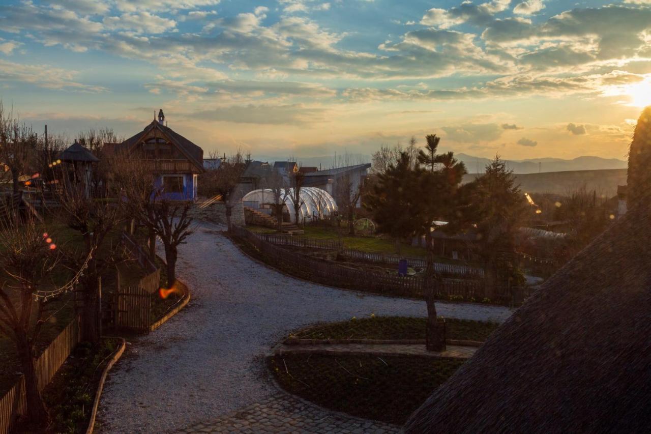 Casele Cu Stuf B&B Haus Ulrike Salicea Luaran gambar