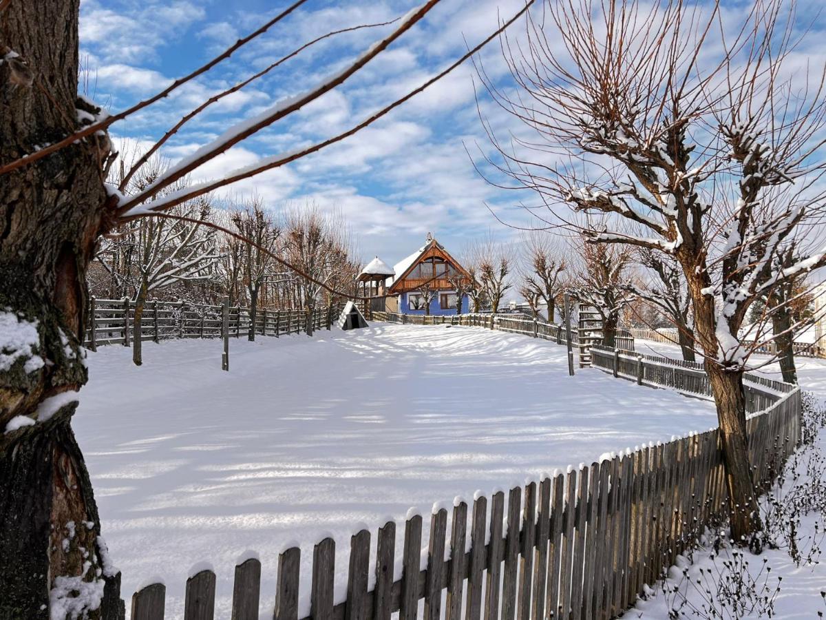 Casele Cu Stuf B&B Haus Ulrike Salicea Luaran gambar