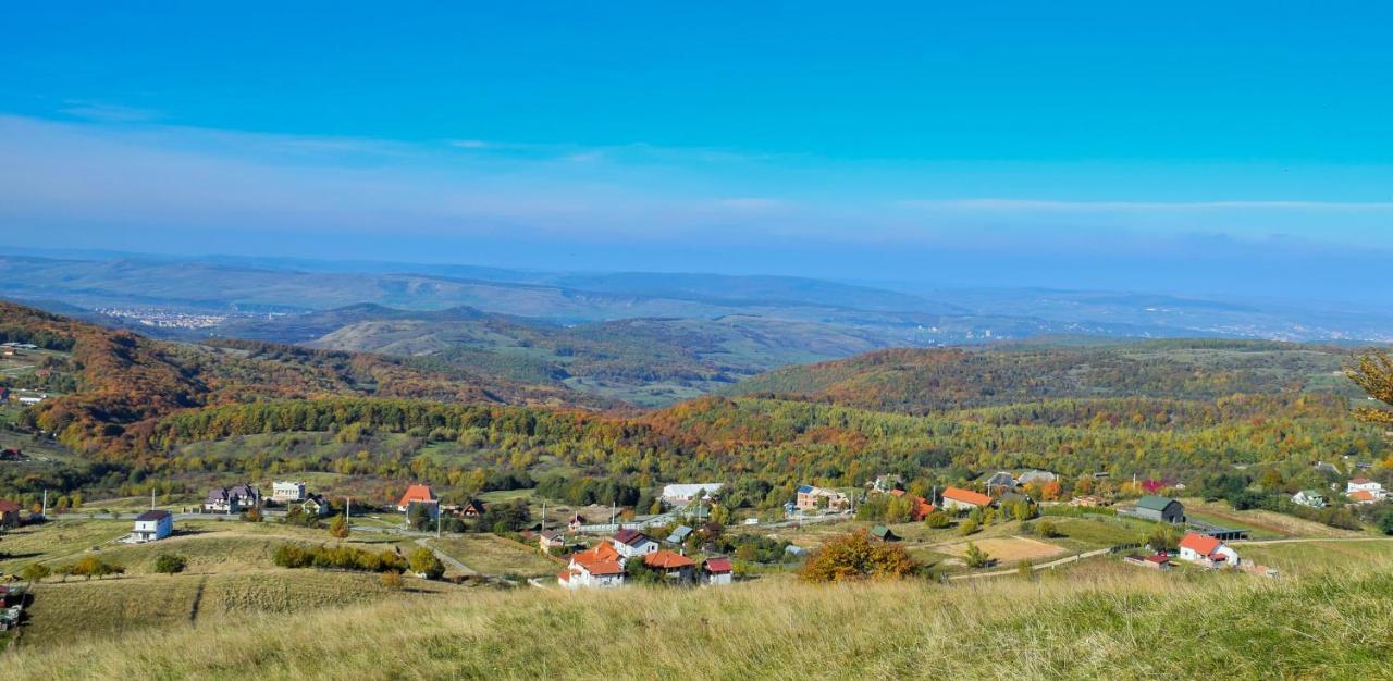 Casele Cu Stuf B&B Haus Ulrike Salicea Luaran gambar
