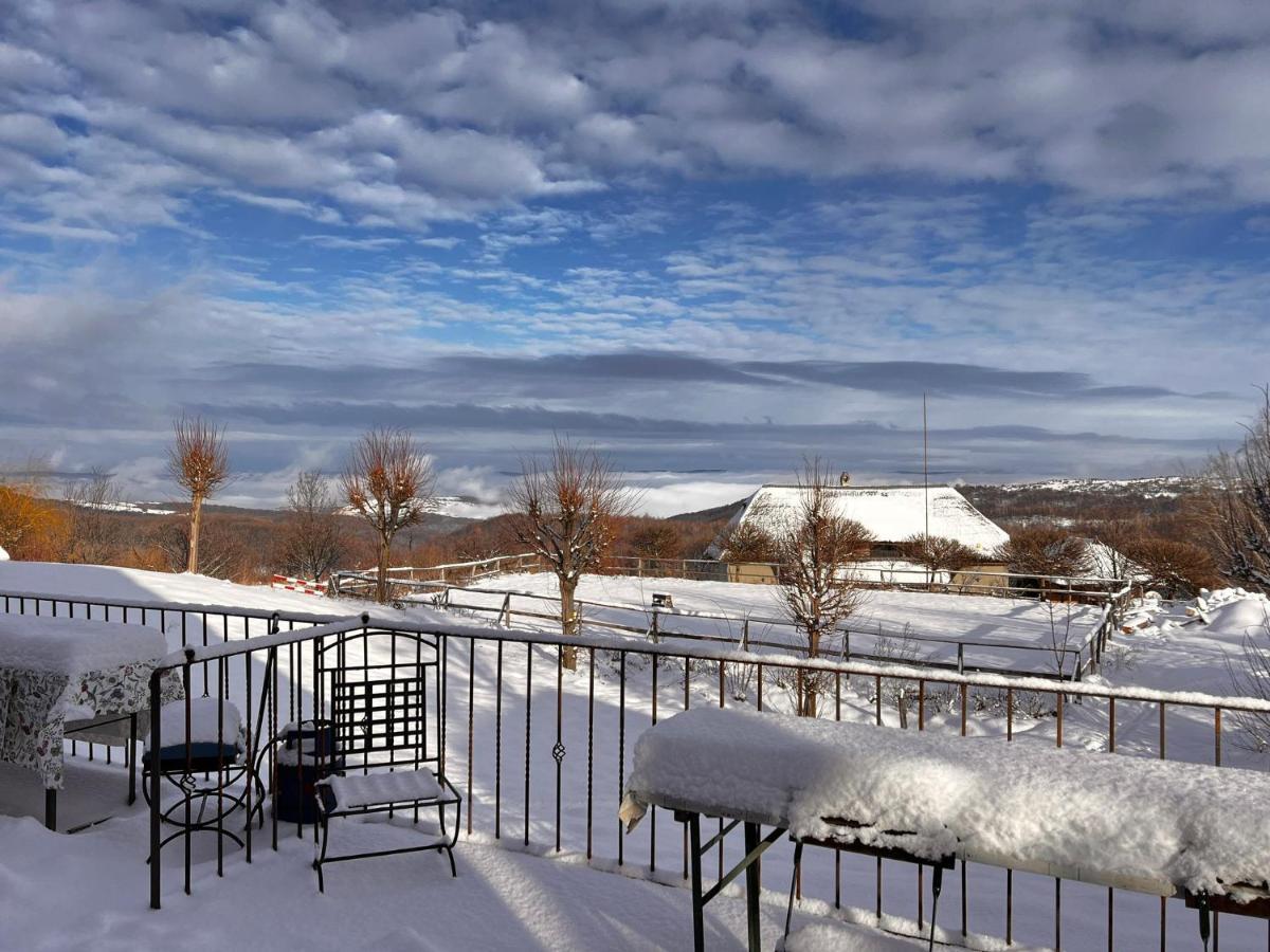 Casele Cu Stuf B&B Haus Ulrike Salicea Luaran gambar