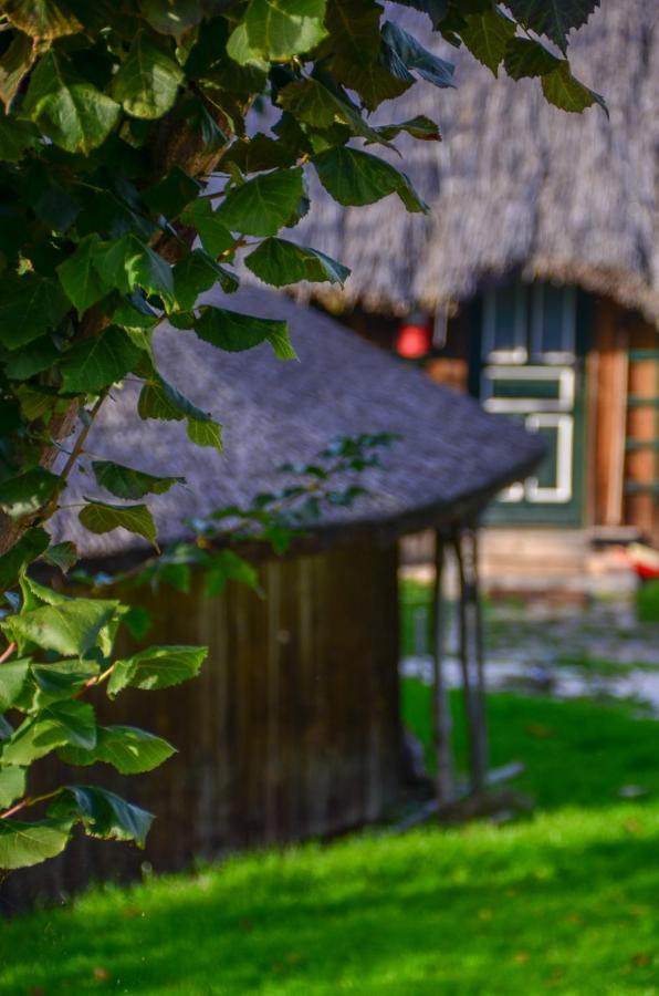 Casele Cu Stuf B&B Haus Ulrike Salicea Luaran gambar