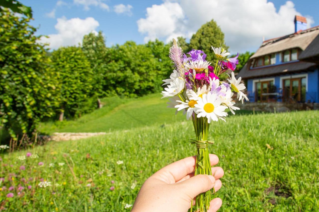 Casele Cu Stuf B&B Haus Ulrike Salicea Luaran gambar
