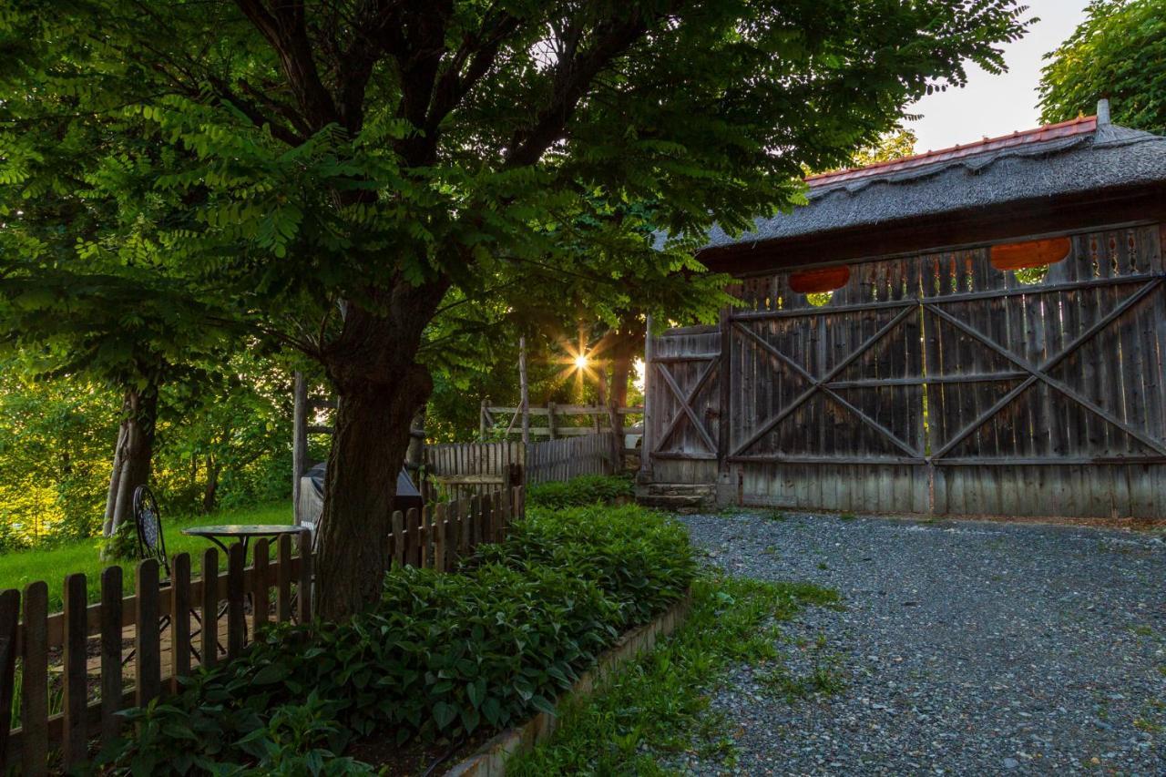 Casele Cu Stuf B&B Haus Ulrike Salicea Luaran gambar