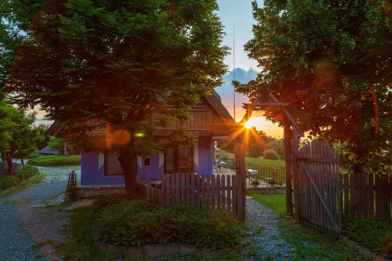 Casele Cu Stuf B&B Haus Ulrike Salicea Luaran gambar