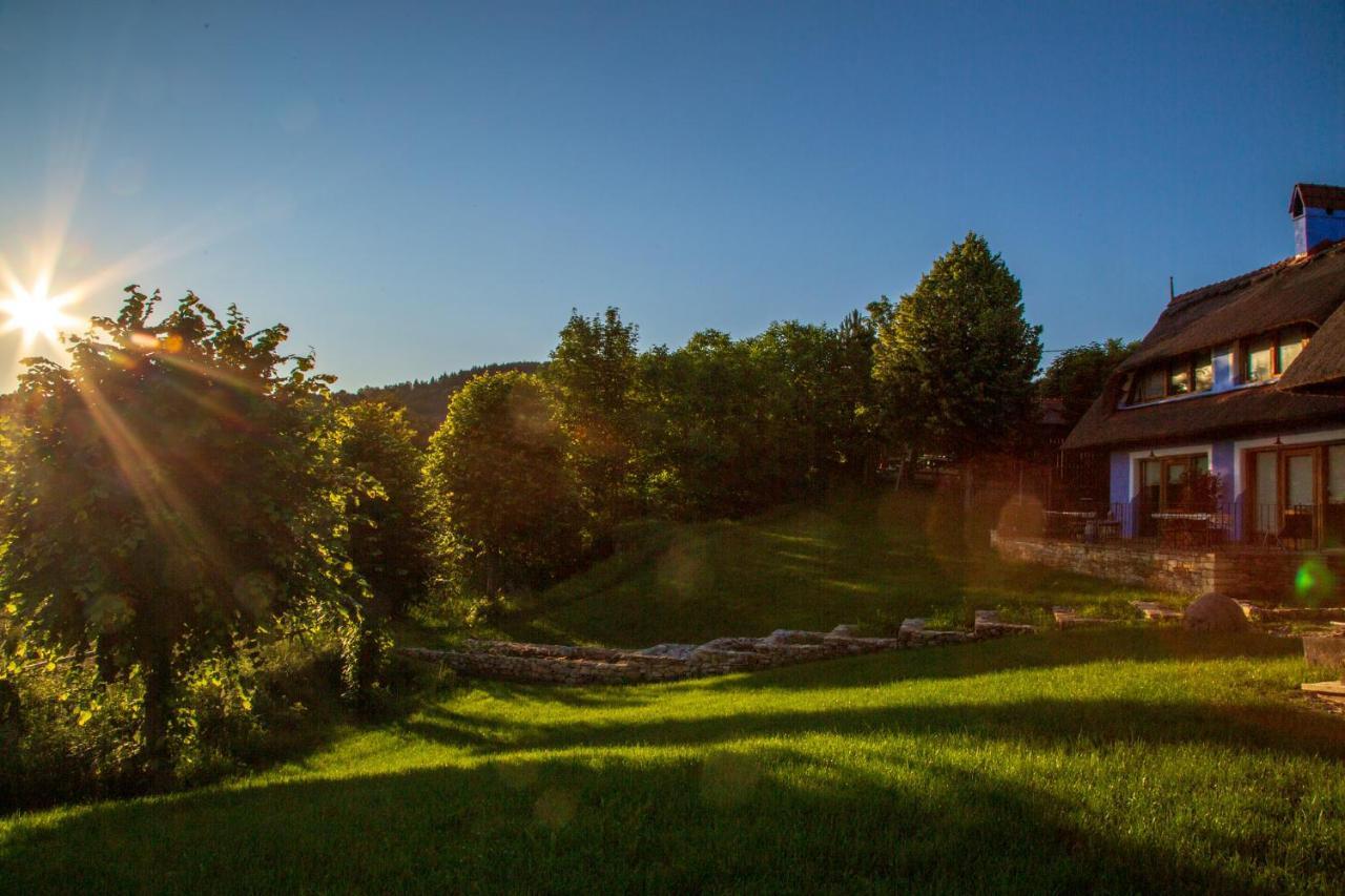 Casele Cu Stuf B&B Haus Ulrike Salicea Luaran gambar